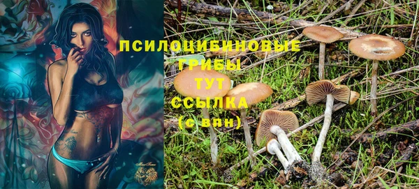 прущая мука Абаза